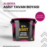 Asist Tavan Boyası 17,5 Kg