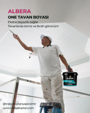 albera one tavan trakya toptan 17.5 kg ALBERA ONE İç Cephe Tavan Boyası 17.5 Kg