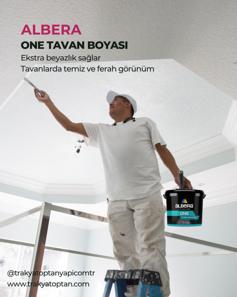 🏠 Tavan Boyası Seçimi Nasıl Yapılır? En Doğru Boya Hangisi?