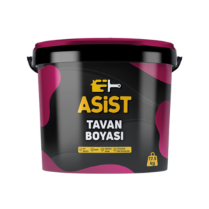 Asist Tavan Boyası 17.5 Kg