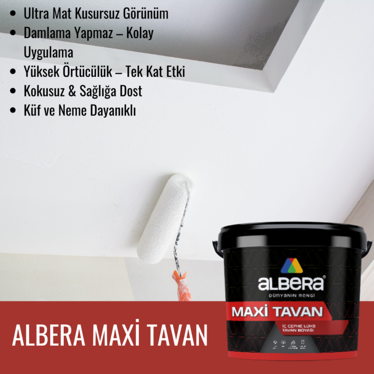 🏠 Tavan Boyası Seçimi Nasıl Yapılır? En Doğru Boya Hangisi?