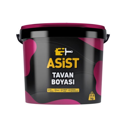 Asist Tavan Boyası 17,5 Kg