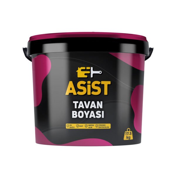 2204202669e92894ef2fe.jpeg Asist Tavan Boyası 17,5 Kg