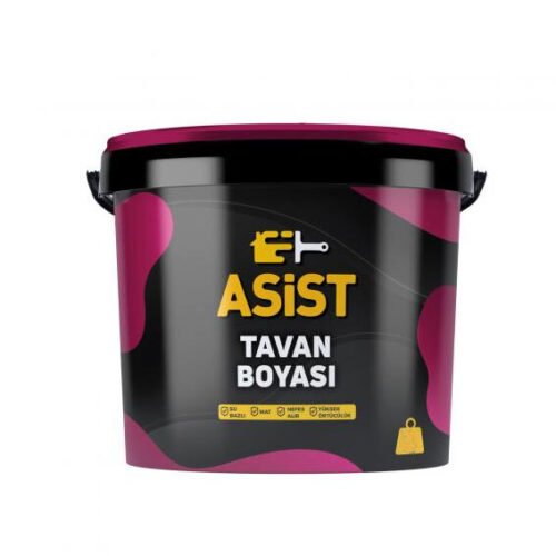 Asist Tavan Boyası 10 Kg