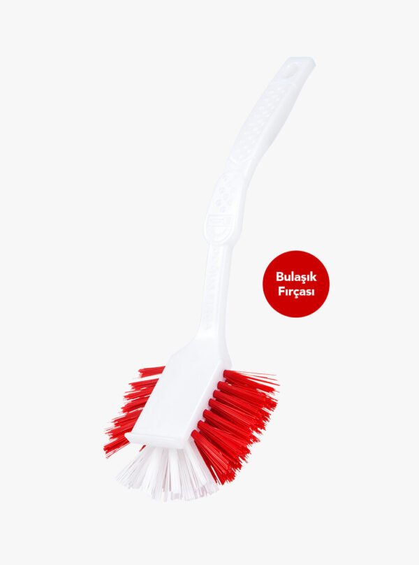 Bulaşık ve Lavabo Fırçası